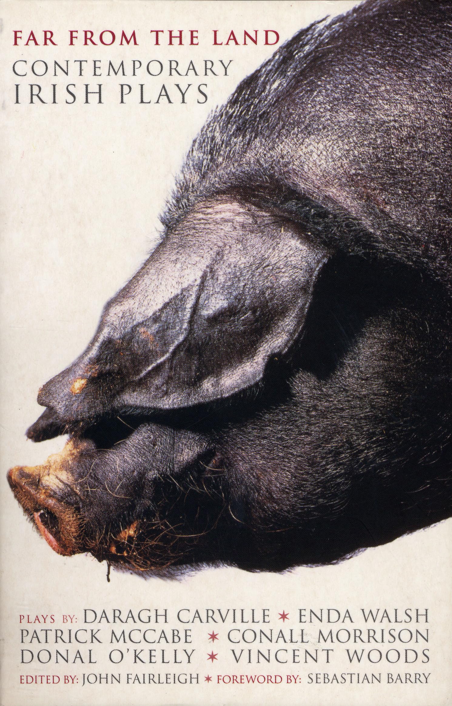 Far From The Land: Black Pig's Dyke; Language Roulette; Disco Pigs; Bat the Father, Rabbit the Son; Frank Pig; Hard to (Play Anthologies)