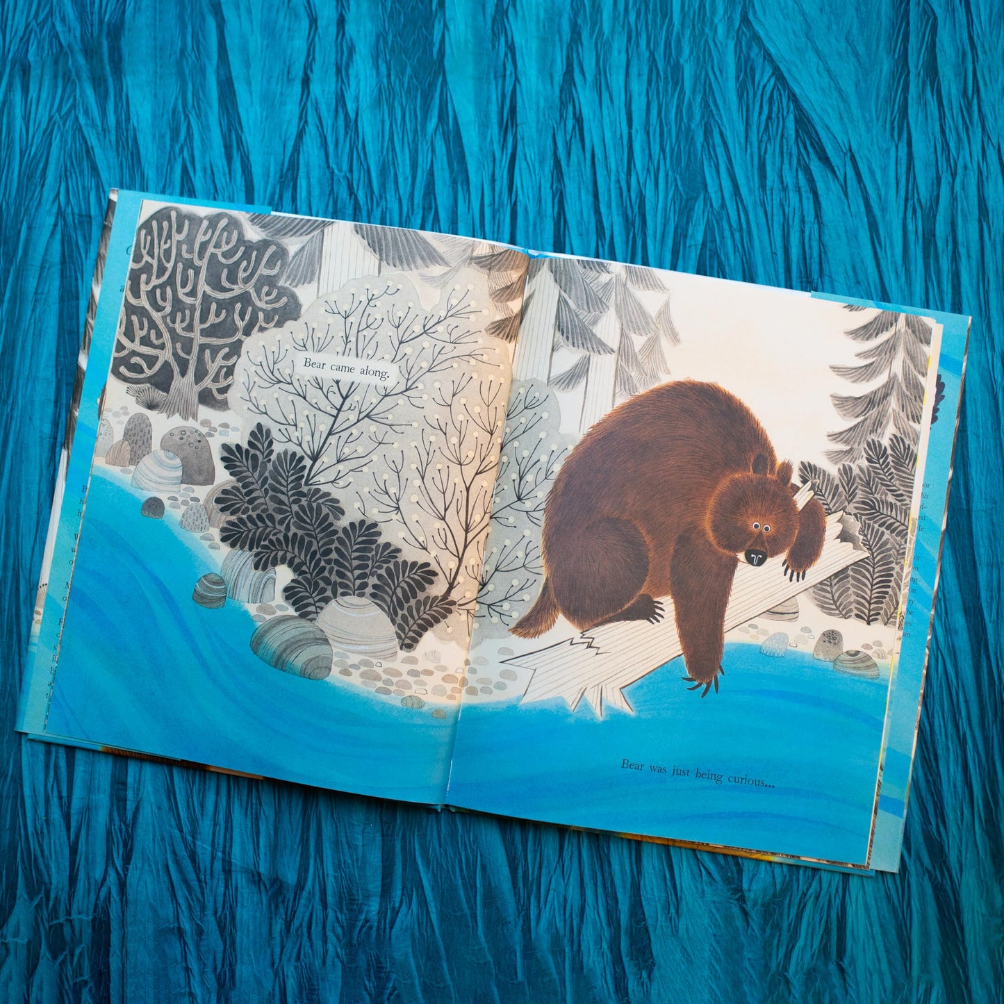 Bear Came Along (Caldecott Honor Book)