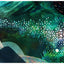 The Brilliant Deep: Rebuilding the World's Coral ReefsThe Story of Ken Nedimyer and the Coral Restoration Foundation