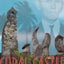 Coral Castle: The Mystery of Ed Leedskalnin and his American Stonehenge