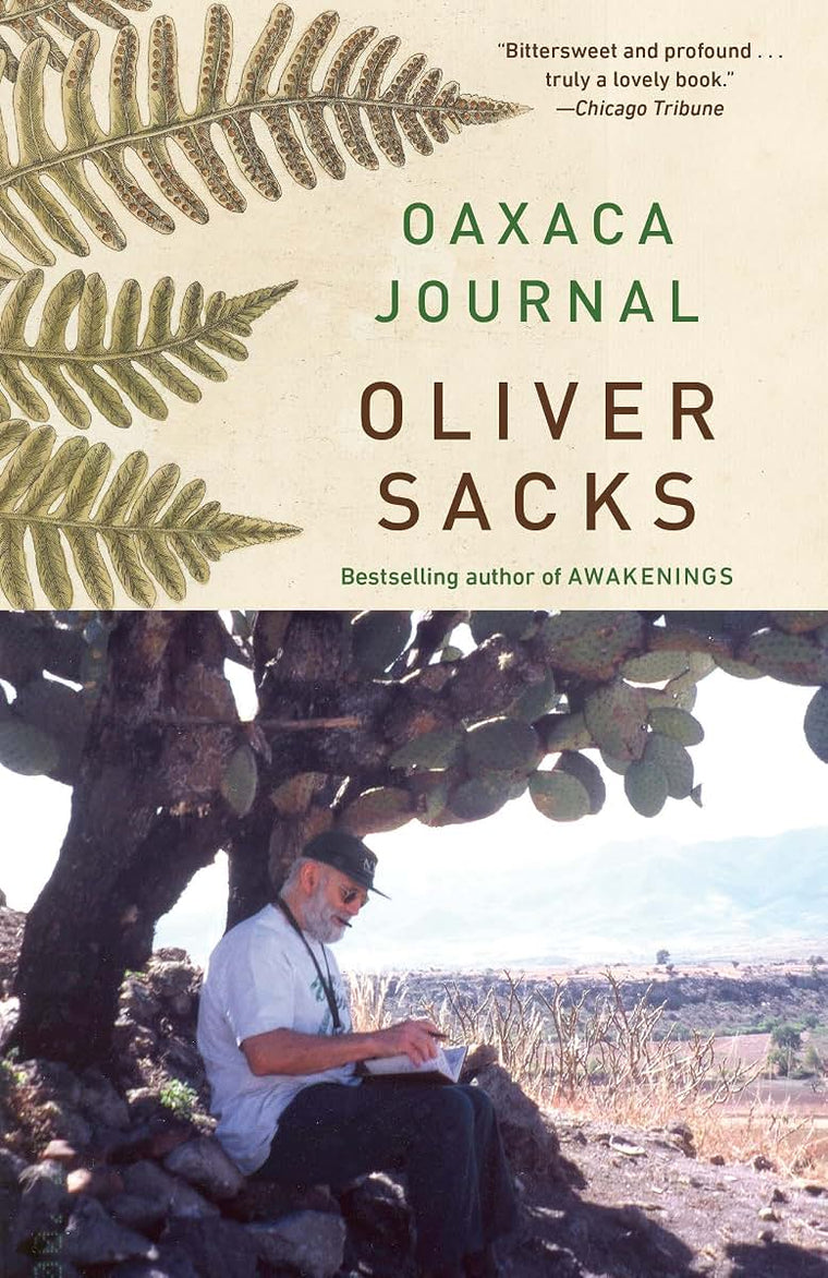 Oaxaca Journal (Vintage Departures)