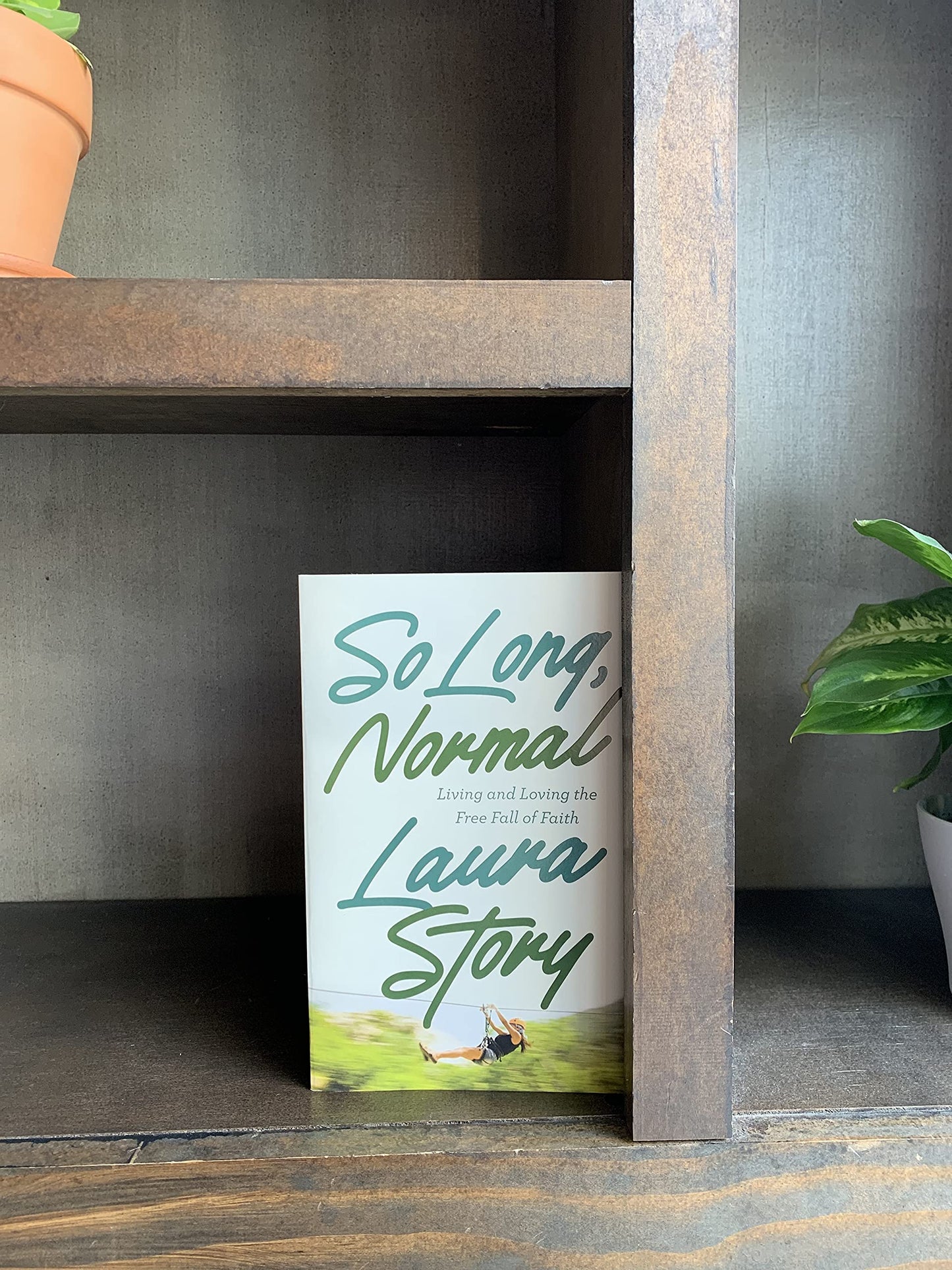 So Long, Normal: Living and Loving the Free Fall of Faith