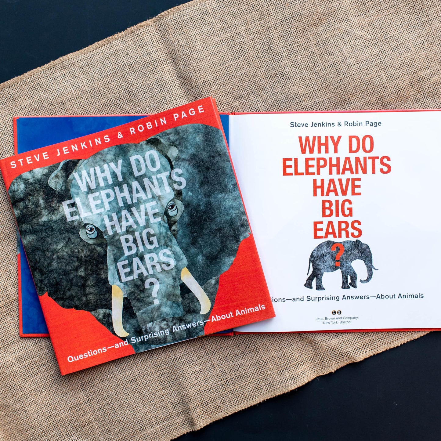 Why Do Elephants Have Big Ears?: Questions - and Surprising Answers - About Animals