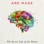 How Emotions Are Made: The Secret Life of the Brain