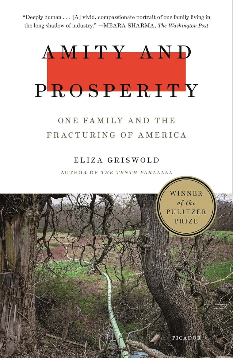 Amity and Prosperity: One Family and the Fracturing of America