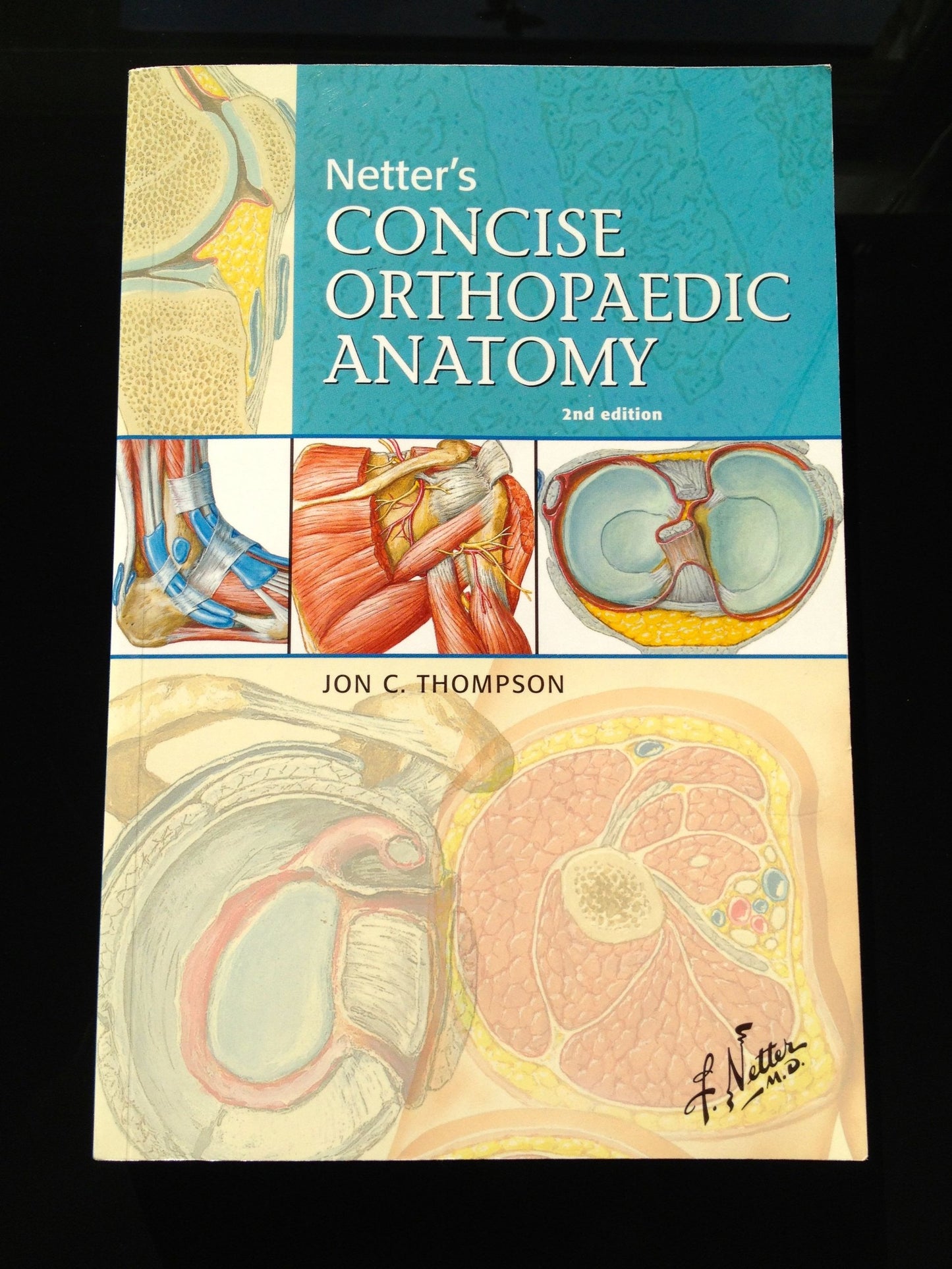 Netter's Concise Orthopaedic Anatomy (Netter Basic Science)
