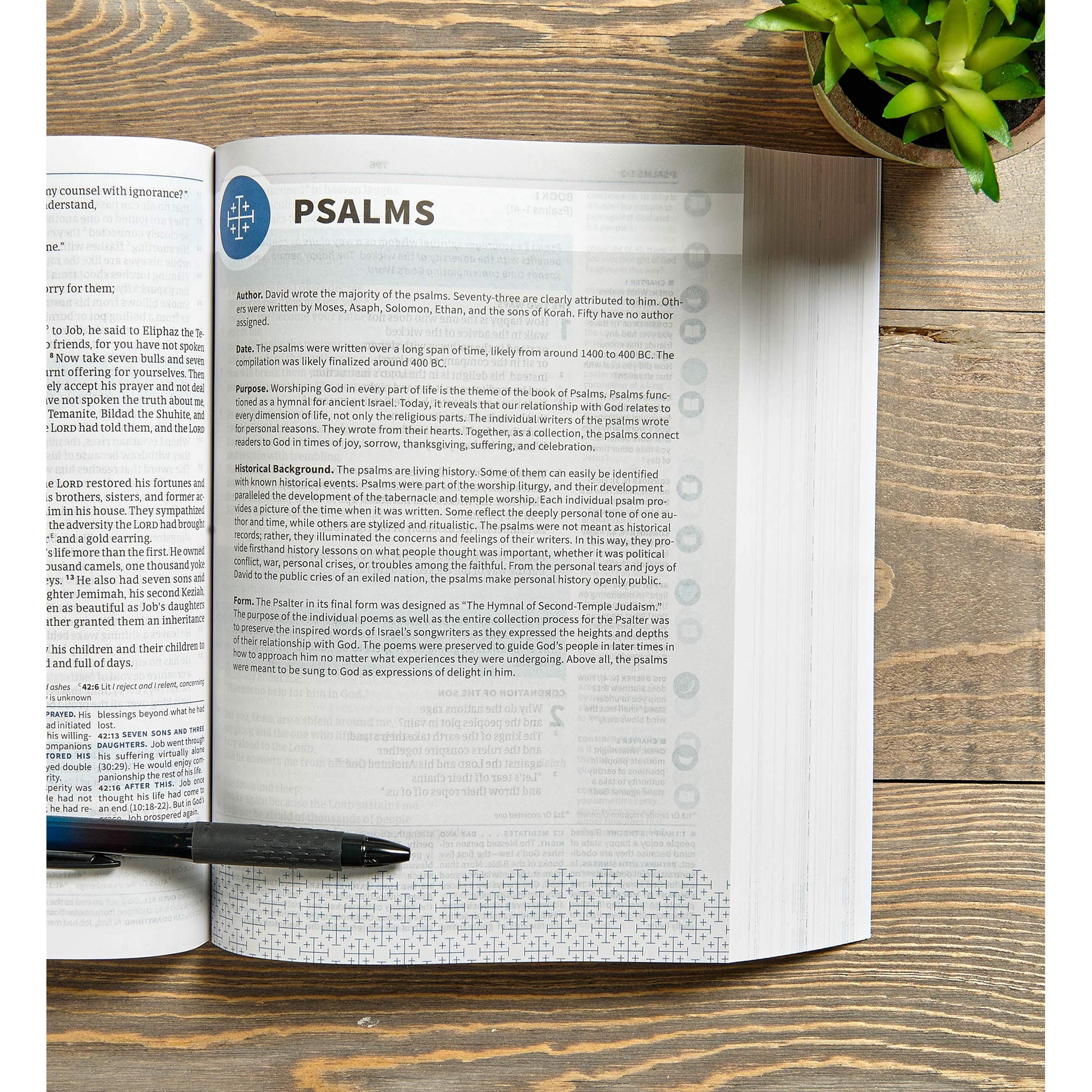 CSB Life Connections Study Bible, Trade Paper, Black Letter, Study Notes and Commentary, Margin Questions, Icons, Small Groups, Easy-to-Read Bible Serif Type