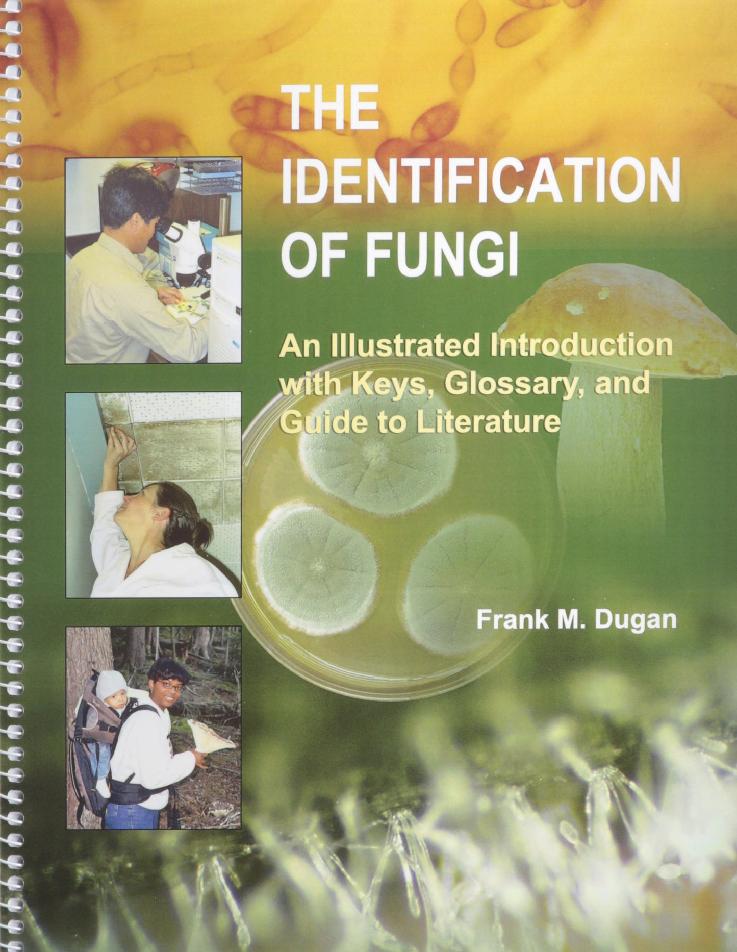 The Identification of Fungi: An Illustrated Introduction With Keys, Glossary, And Guide to Literature