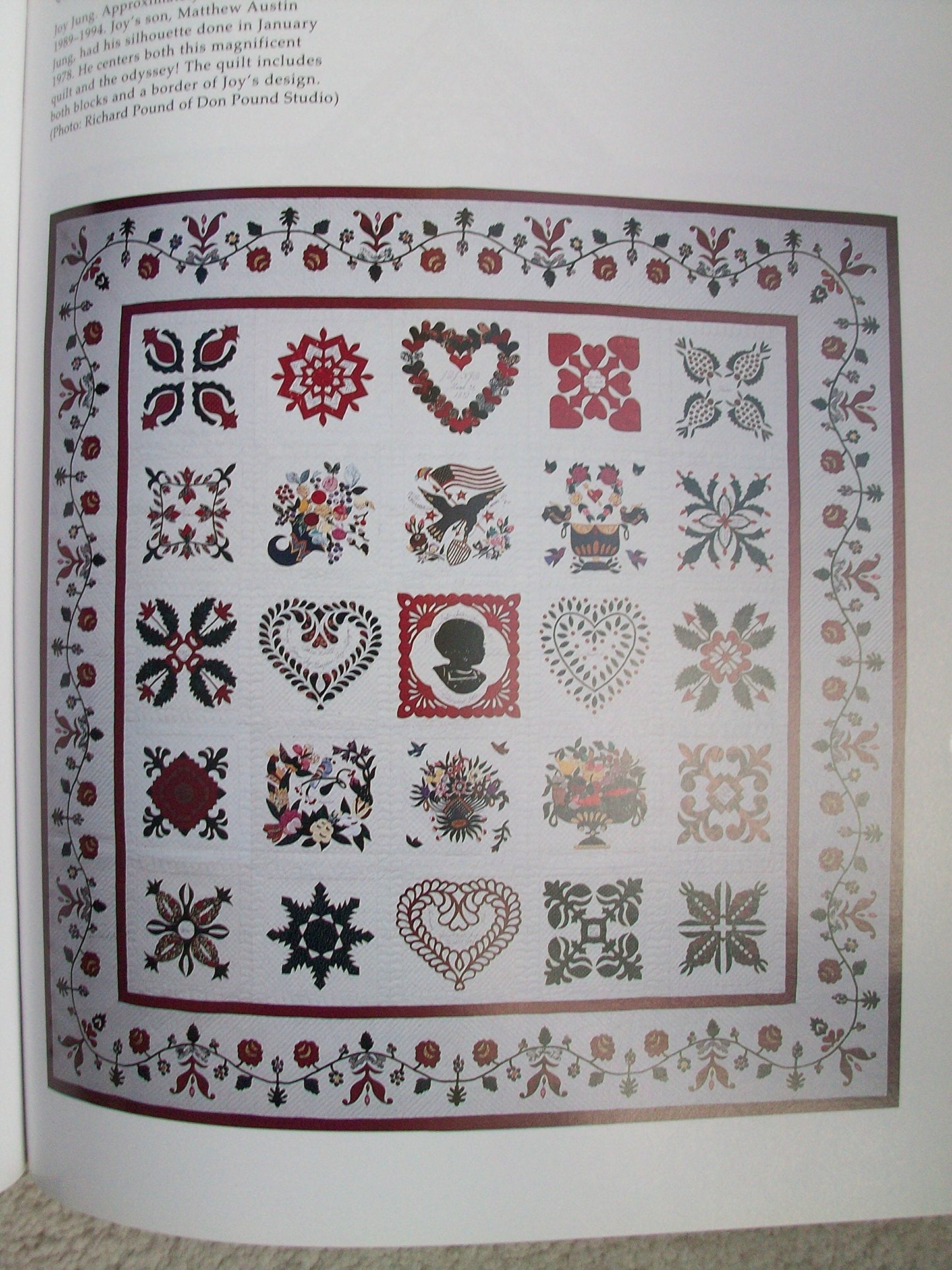 Papercuts and Plenty (Baltimore Beauties and Beyond: Studies in Classic Album Quilt Applique, Vol. 3)