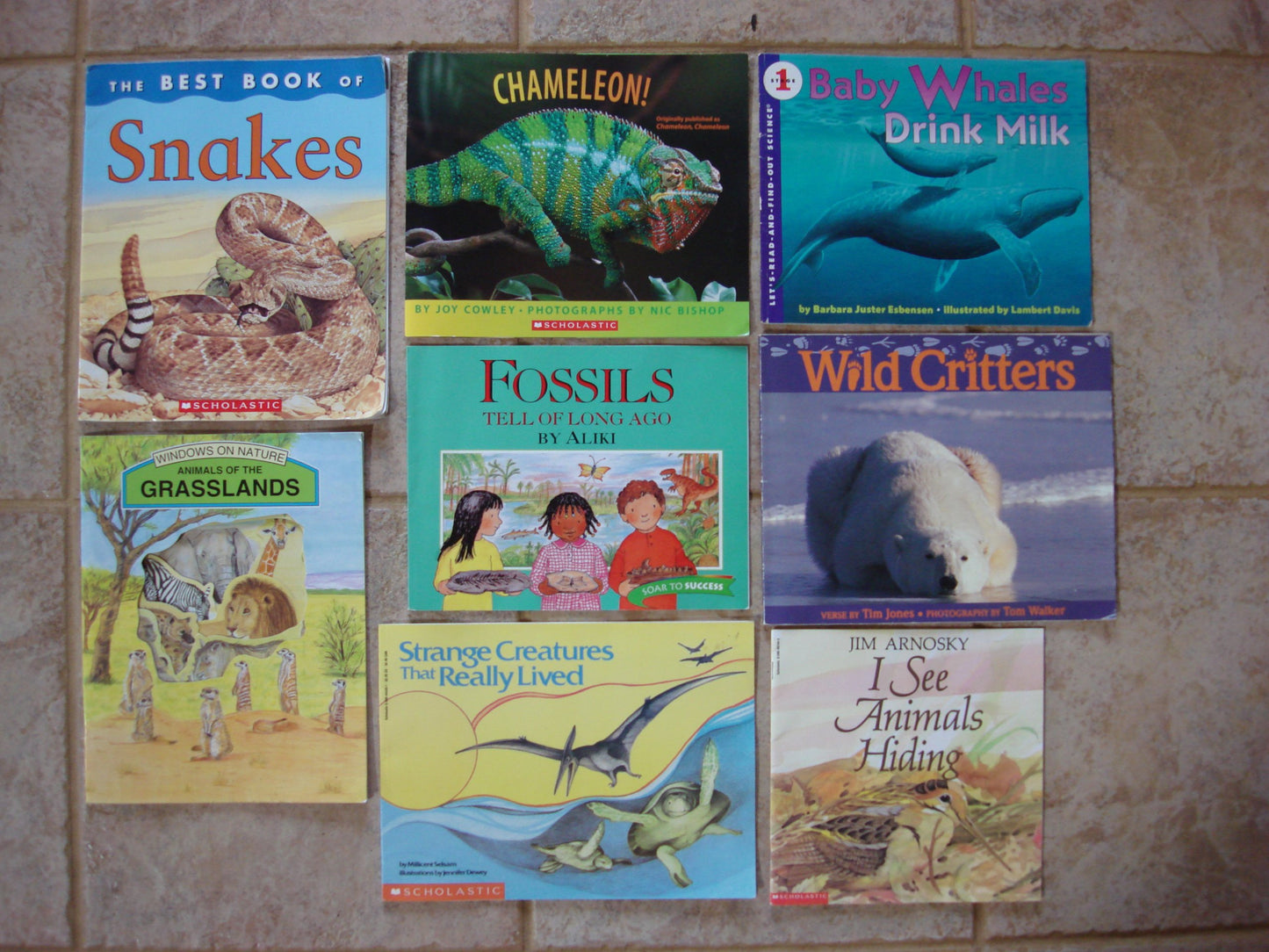 Baby Whales Drink Milk (Let's-Read-and-Find-Out Science 1)