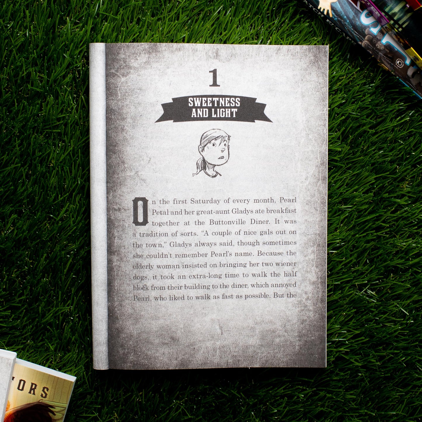 The Fairy Swarm (The Imaginary Veterinary, 6)