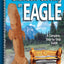 Chainsaw Carving an Eagle: A Complete Step-by-Step Guide (Fox Chapel Publishing) Beginner-Friendly Reference, Easy-to-Follow Instructions, 4 Projects, Types of Cuts, Finishing, Wood Selection, & More