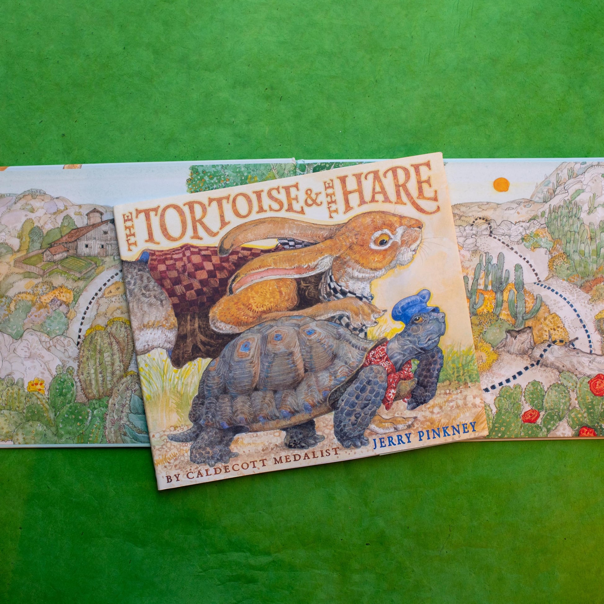 The Tortoise & the Hare
