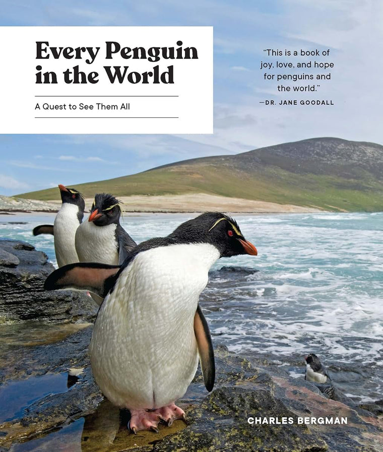Every Penguin in the World: A Quest to See Them All
