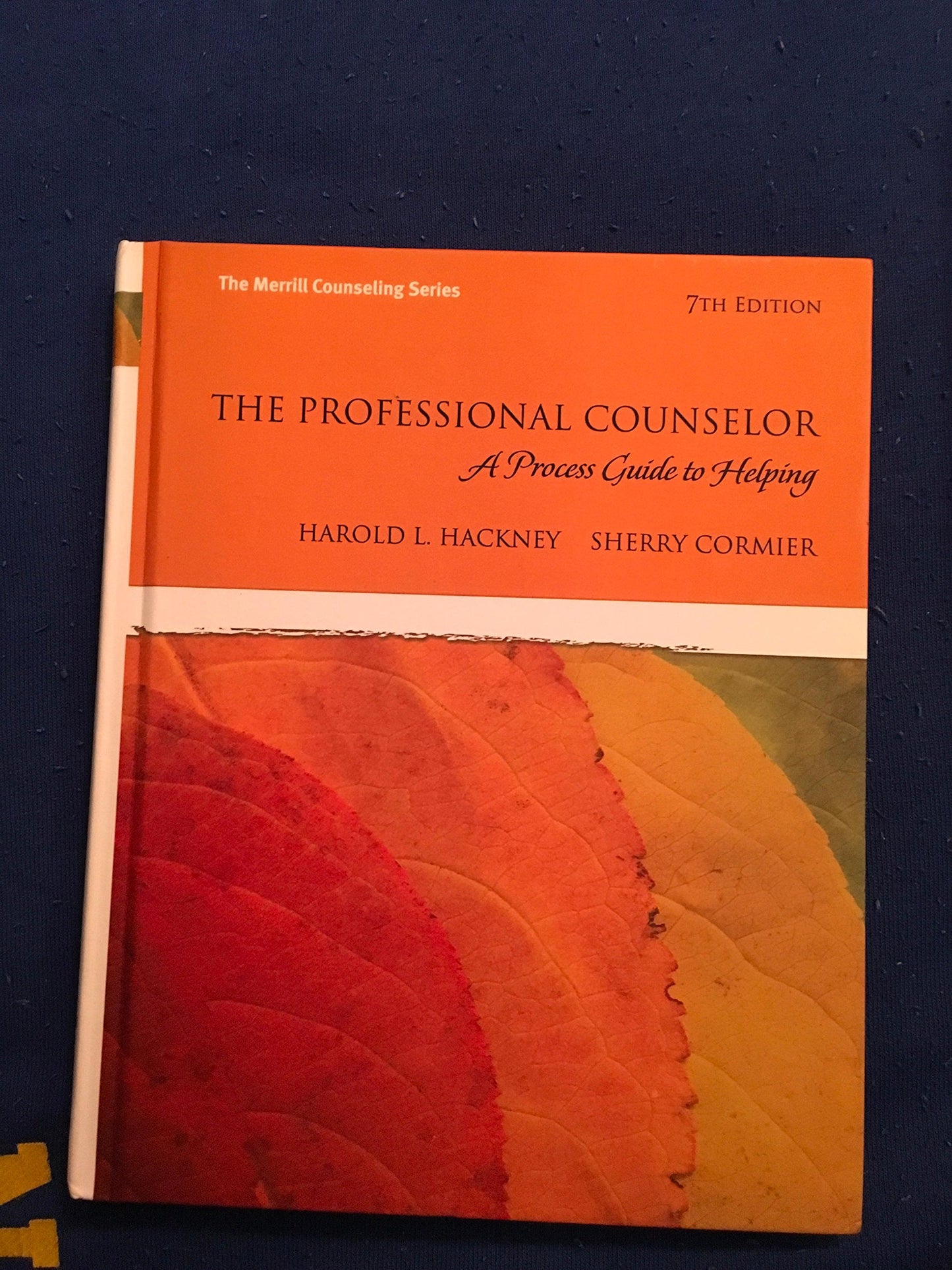 The Professional Counselor: A Process Guide to Helping (7th Edition)