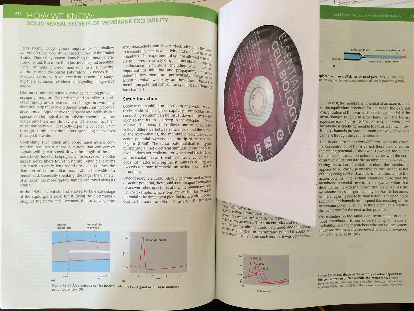 Essential Cell Biology