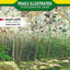 Nantahala and Cullasaja Gorges Map [Nantahala National Forest] (National Geographic Trails Illustrated Map, 785)