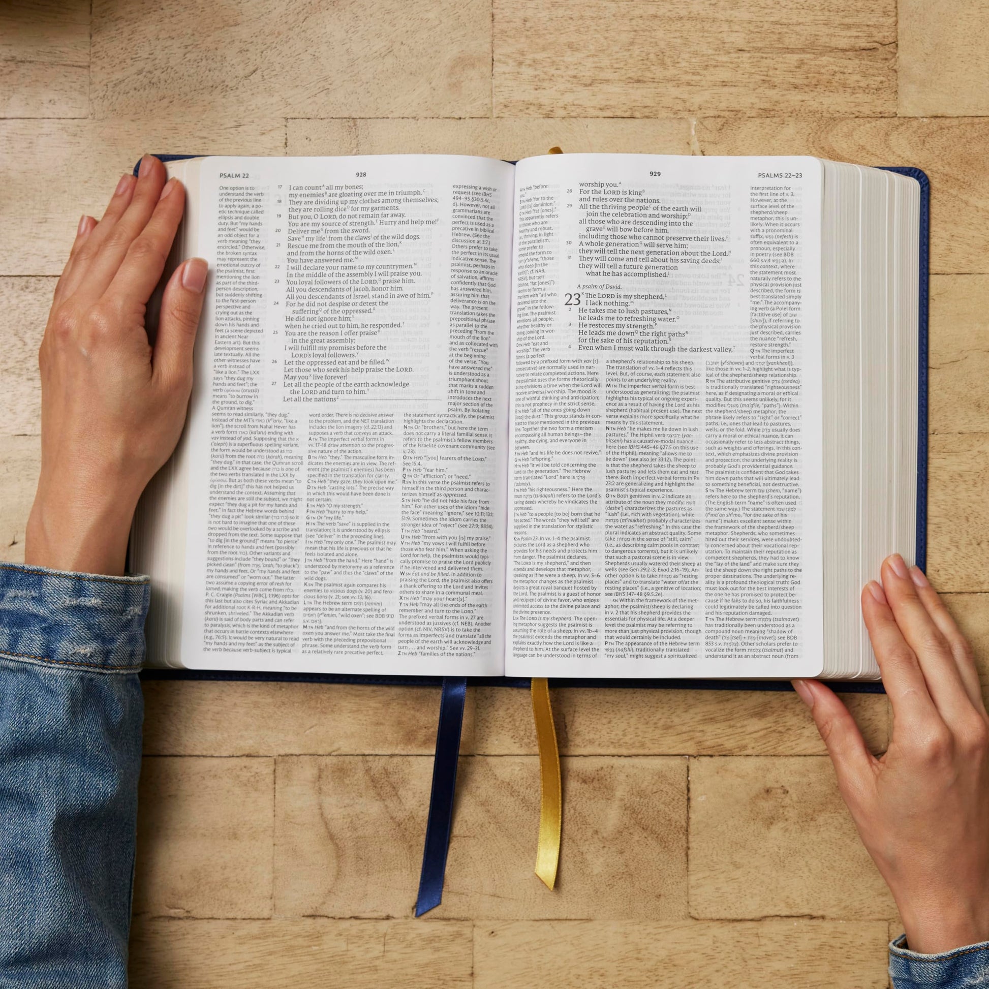NET Bible, Full Notes Edition (NET, Black Leathersoft, Comfort Print): Holy Bible