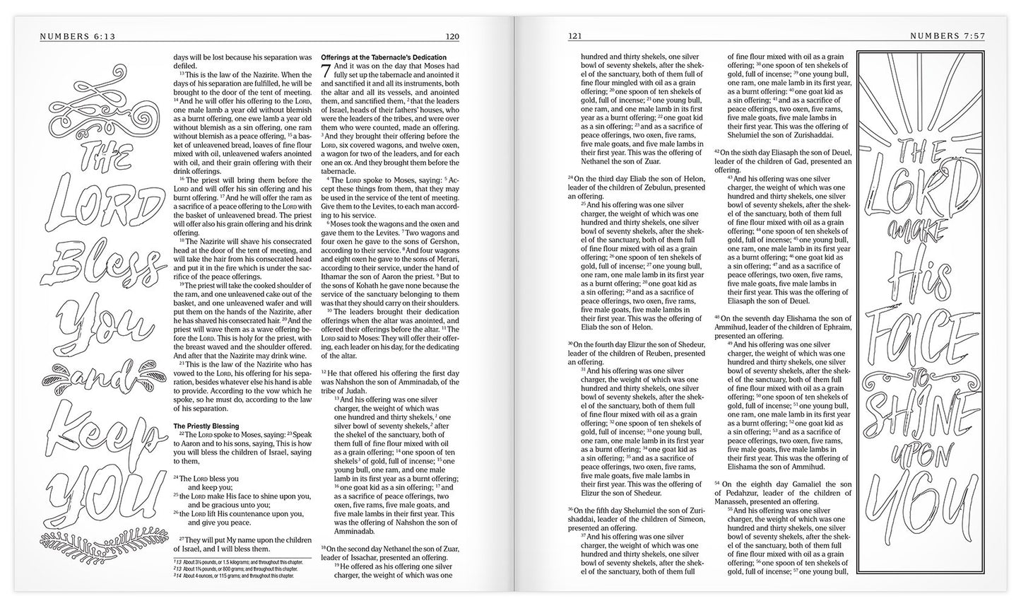 The MEV Promises of God Creative Journaling Bible: Modern English Version