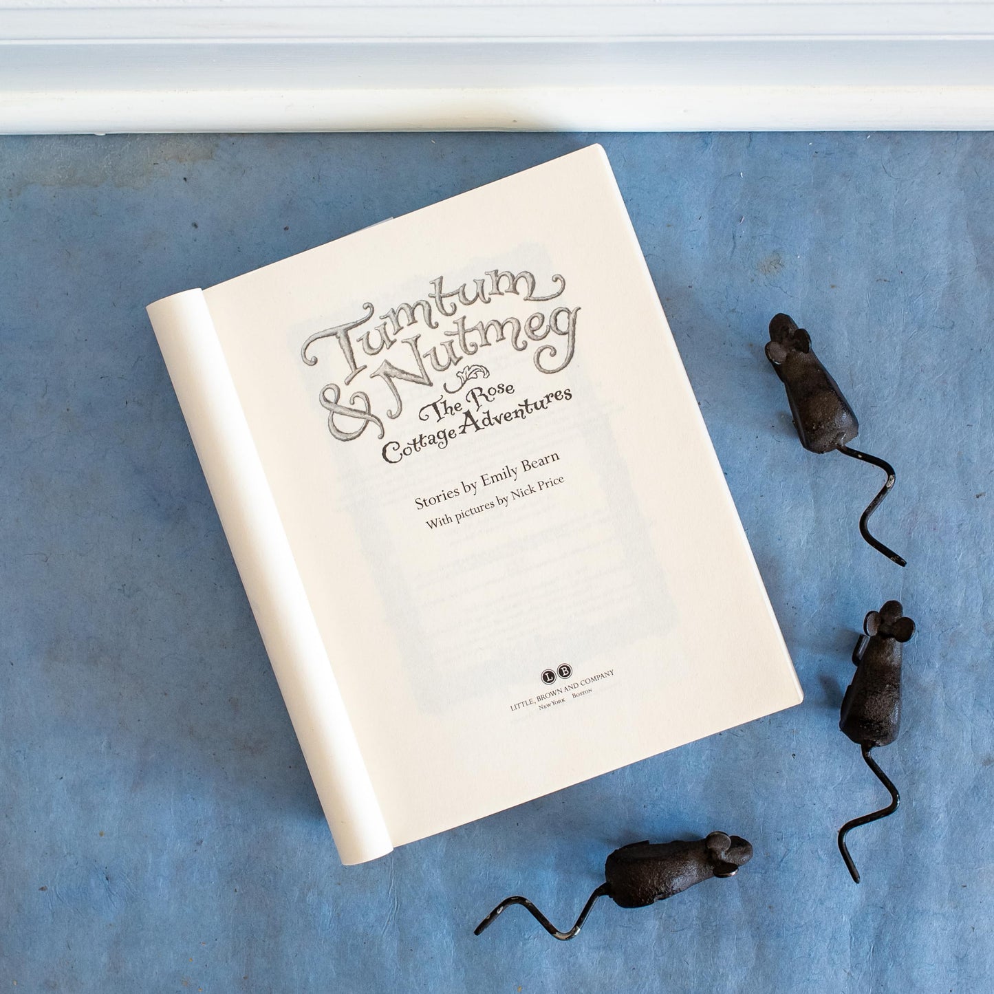 THE Tumtum & Nutmeg: The Rose Cottage Tales (Tumtum & Nutmeg, 2)