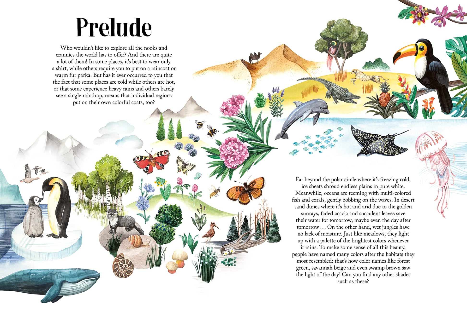 Colors of Habitats (Nature's Wonderful Colors, 2)