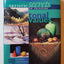 Artistic Secrets to Painting Tonal Values