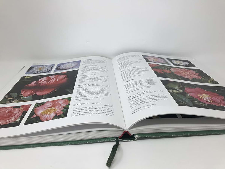 The Illustrated Encyclopedia of Camellias by Macoboy, Stirli