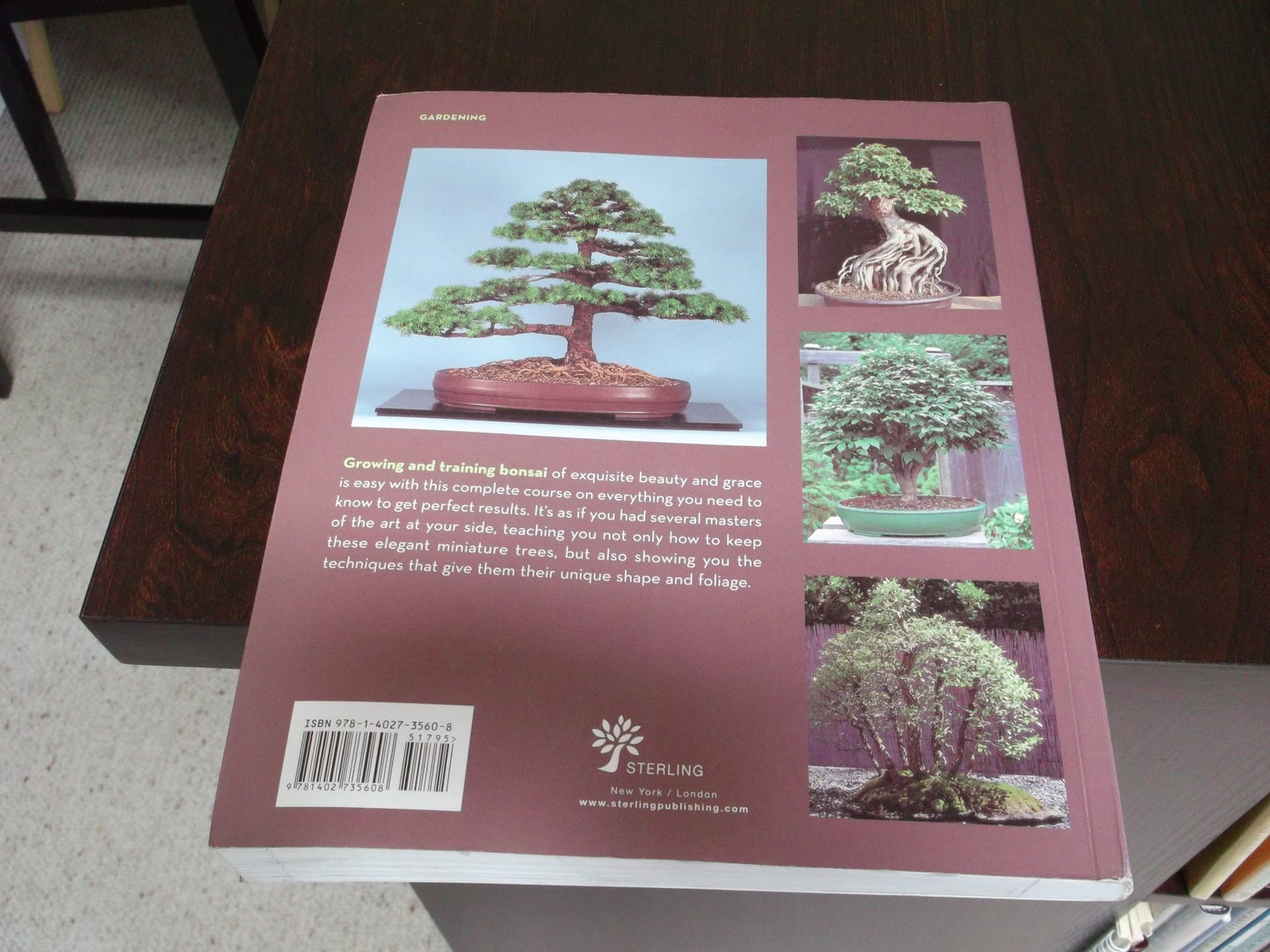 Bonsai School: The Complete Course in Care, Training & Maintenance
