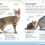 The Everything Book of Cats and Kittens (Everything About Pe