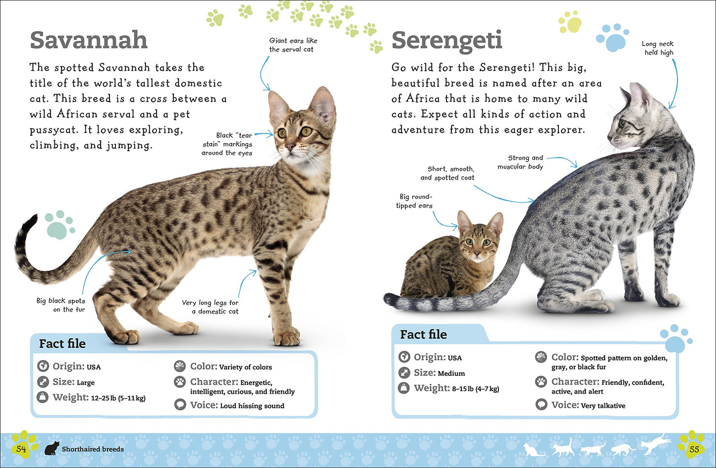 The Everything Book of Cats and Kittens (Everything About Pe