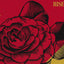 Obey: The Art of Shepard Fairey