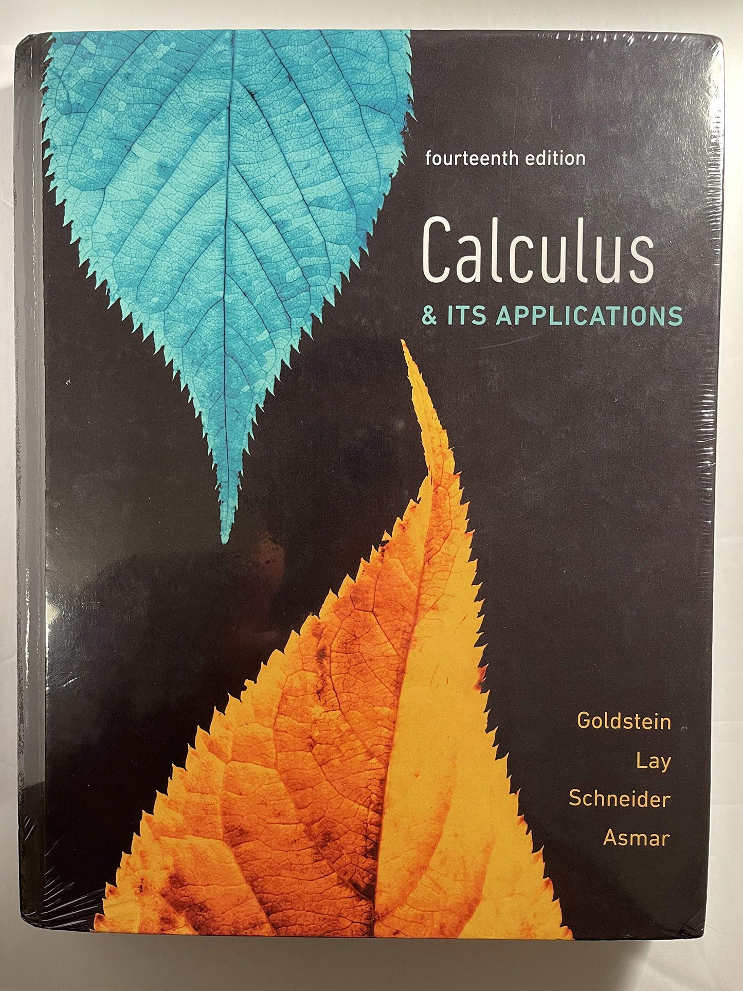 Calculus & Its Applications