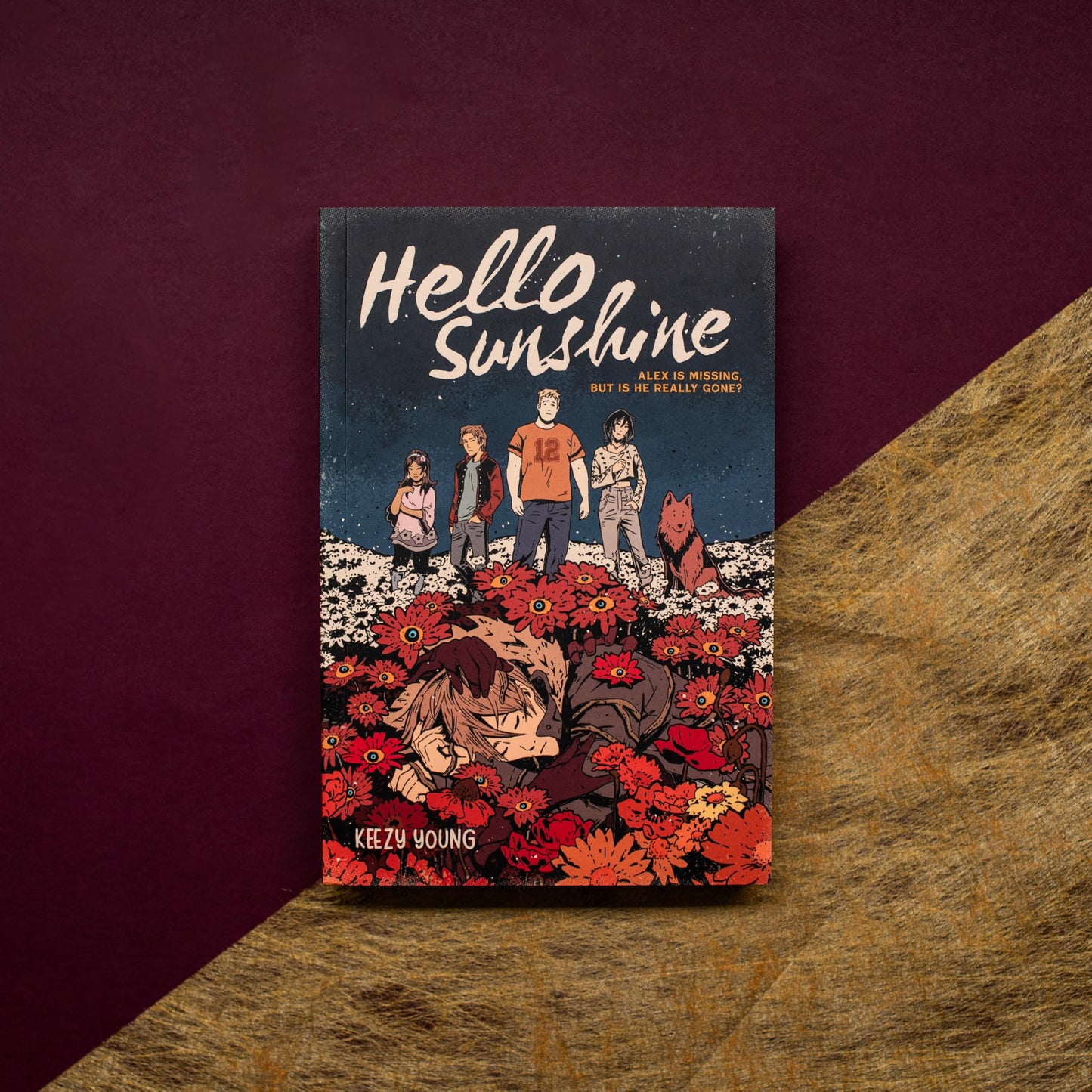 Hello Sunshine (A Graphic Novel)