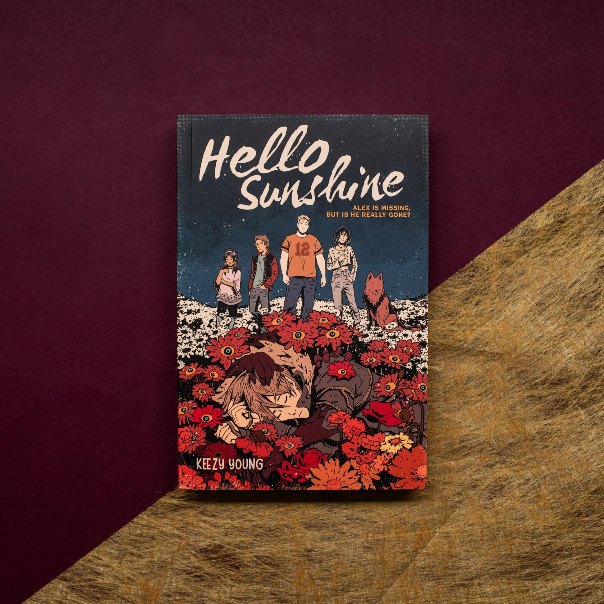 Hello Sunshine (A Graphic Novel)