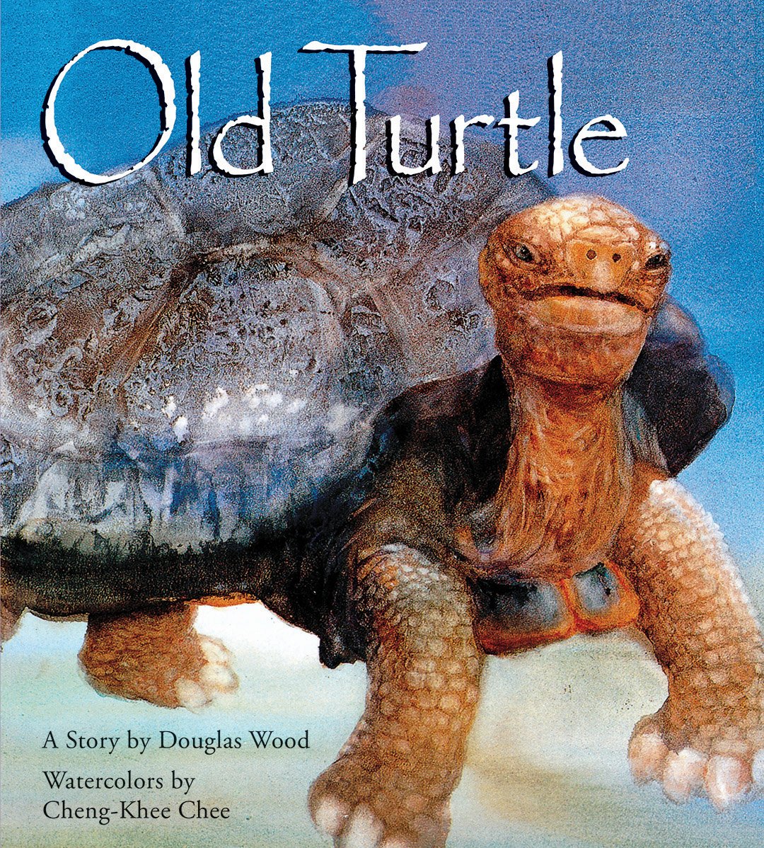 Old Turtle (Lessons of Old Turtle) by Wood, Douglas