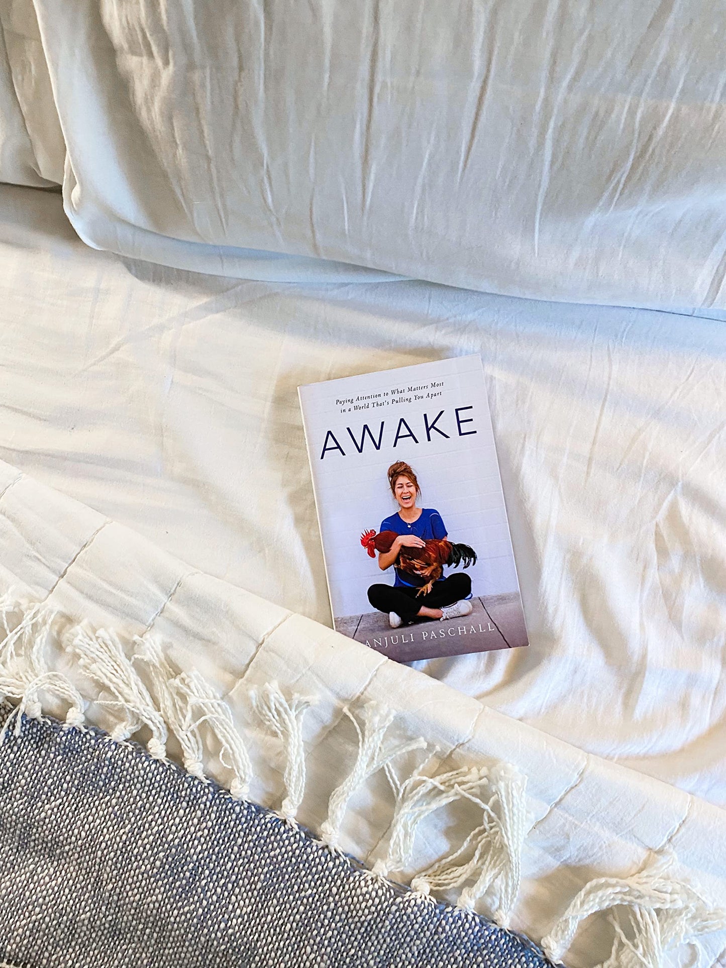 Awake: Paying Attention to What Matters Most in a World That's Pulling You Apart