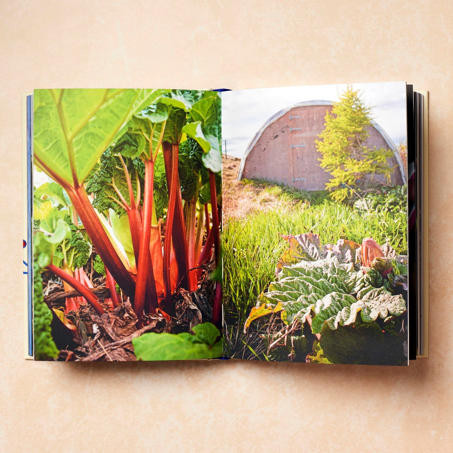 Scandinavia: Recipes and Ingredients