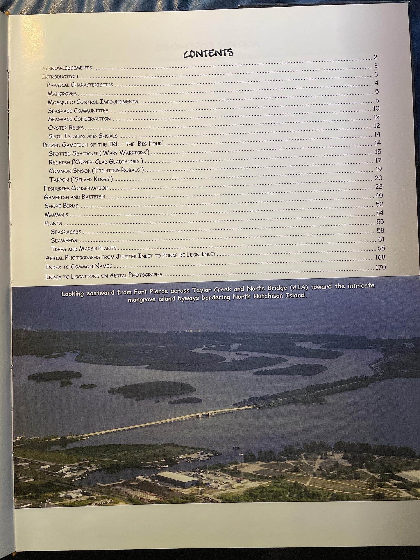 Waterways And Byways of the Indian River Lagoon: Field Guide for Boaters, Anglers & Naturalists
