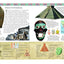 Children's Encyclopedia of Ancient History: Step Back In Time To Discover The Wonders Of The Stone Age, Ancient Egypt, Ancient Greece, Ancient Rome, ... The Incas, Ancient China And Ancient Japan