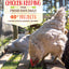 DIY Chicken Keeping from Fresh Eggs Daily: 40+ Projects for the Coop, Run, Brooder, and More!