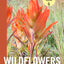 Wildflowers of the Rocky Mountain Region (A Timber Press Field Guide)