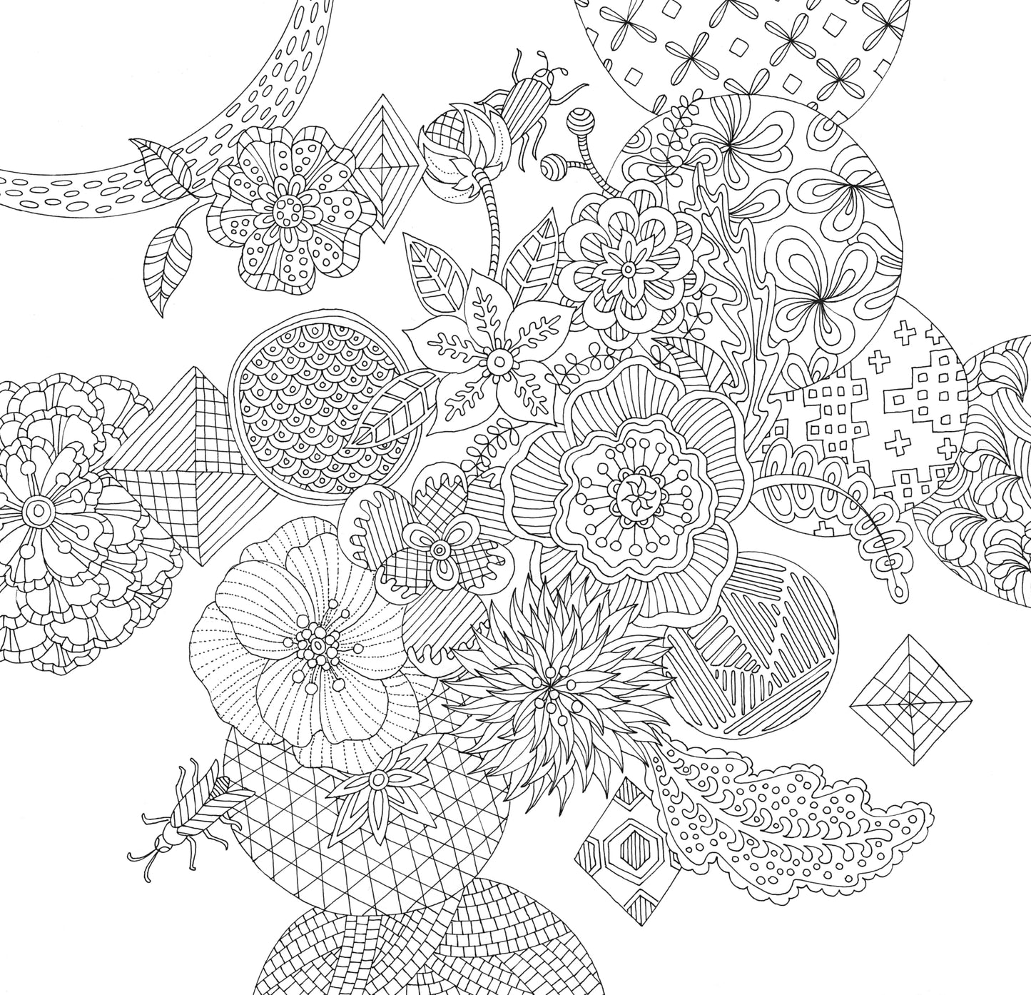 Zen Garden Adult Coloring Book (31 stress-relieving designs) (Artists' Coloring Books)