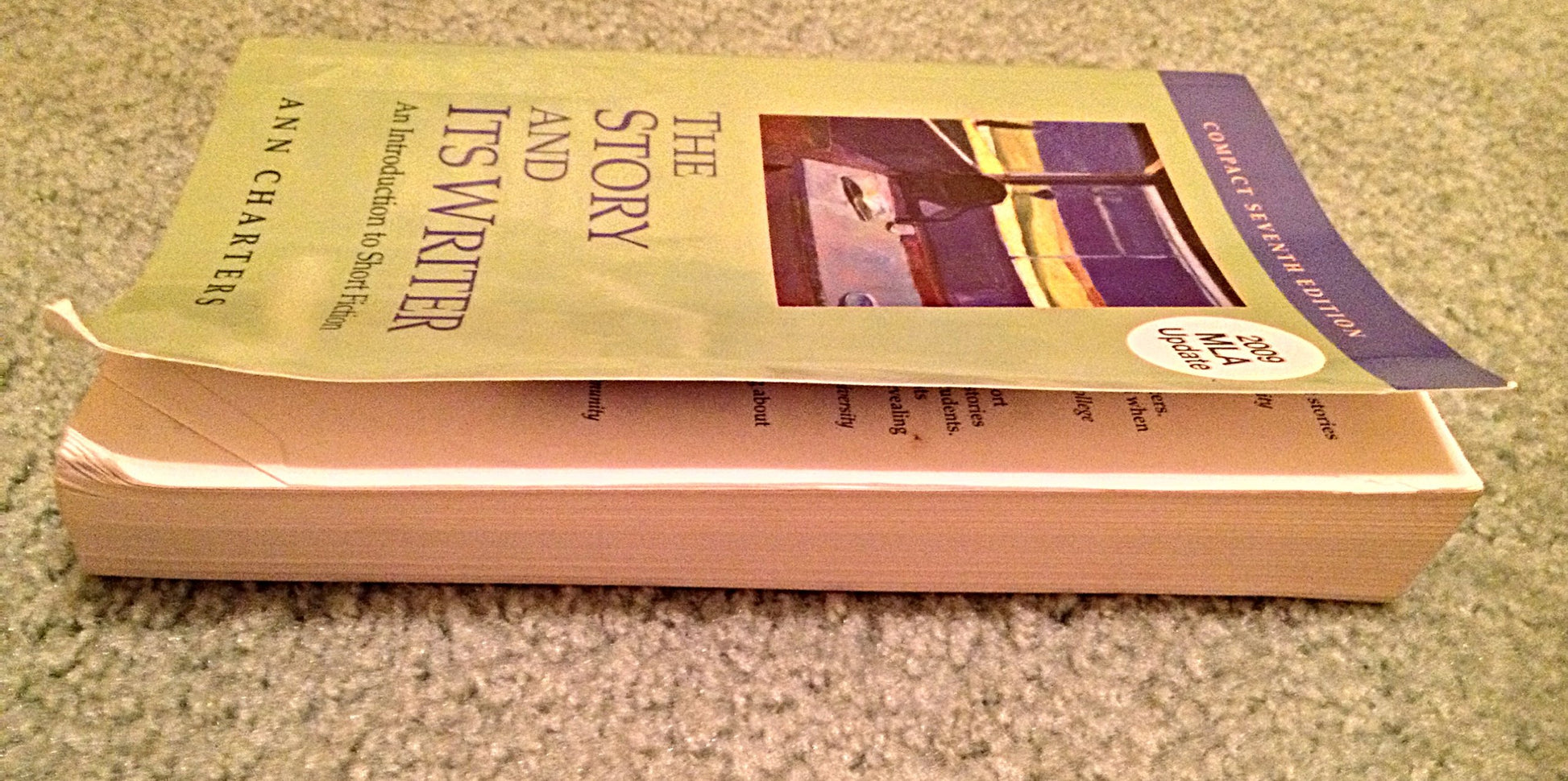 The Story and Its Writer: An Introduction to Short Fiction