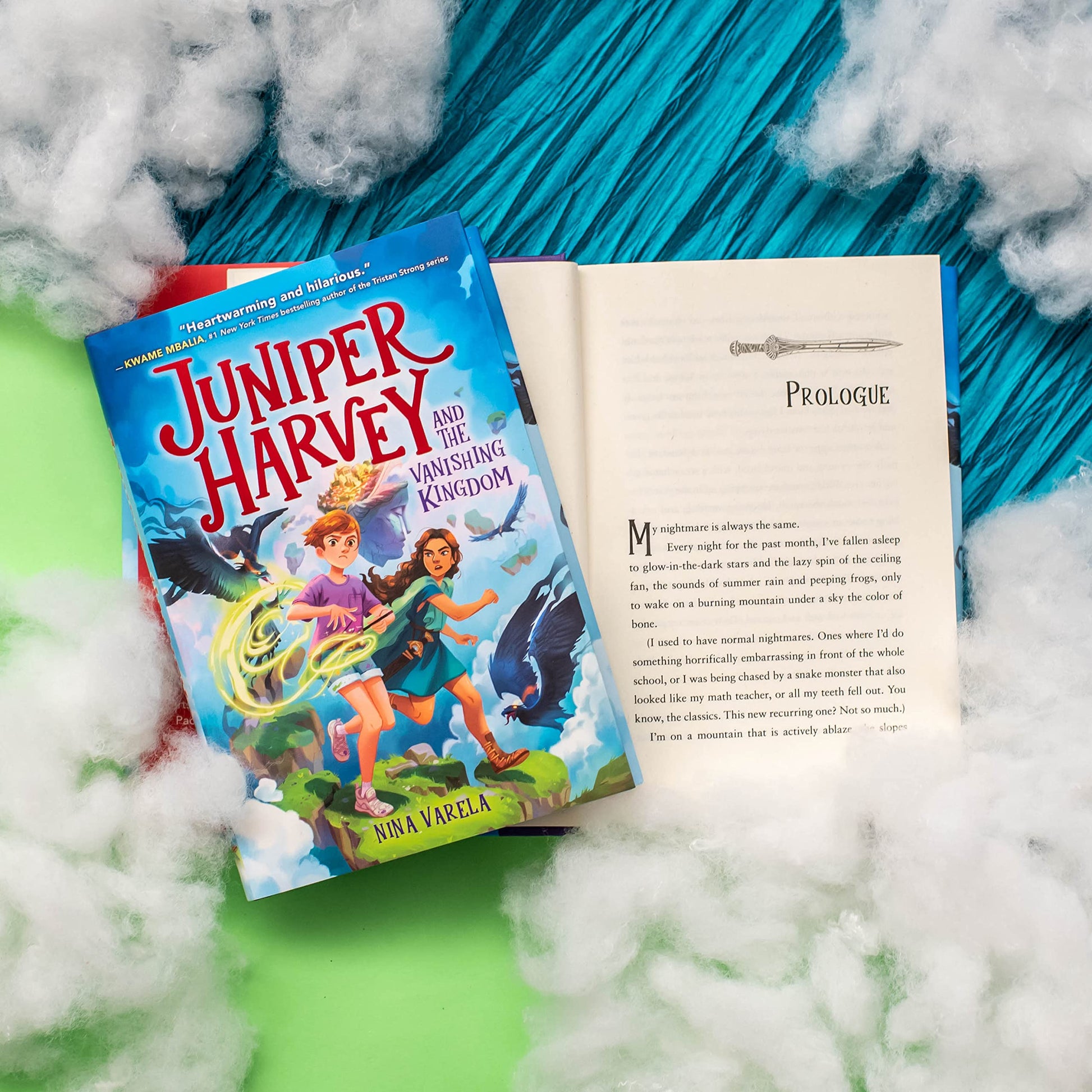 Juniper Harvey and the Vanishing Kingdom