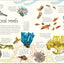 An Anthology of Aquatic Life (DK Children's Anthologies)
