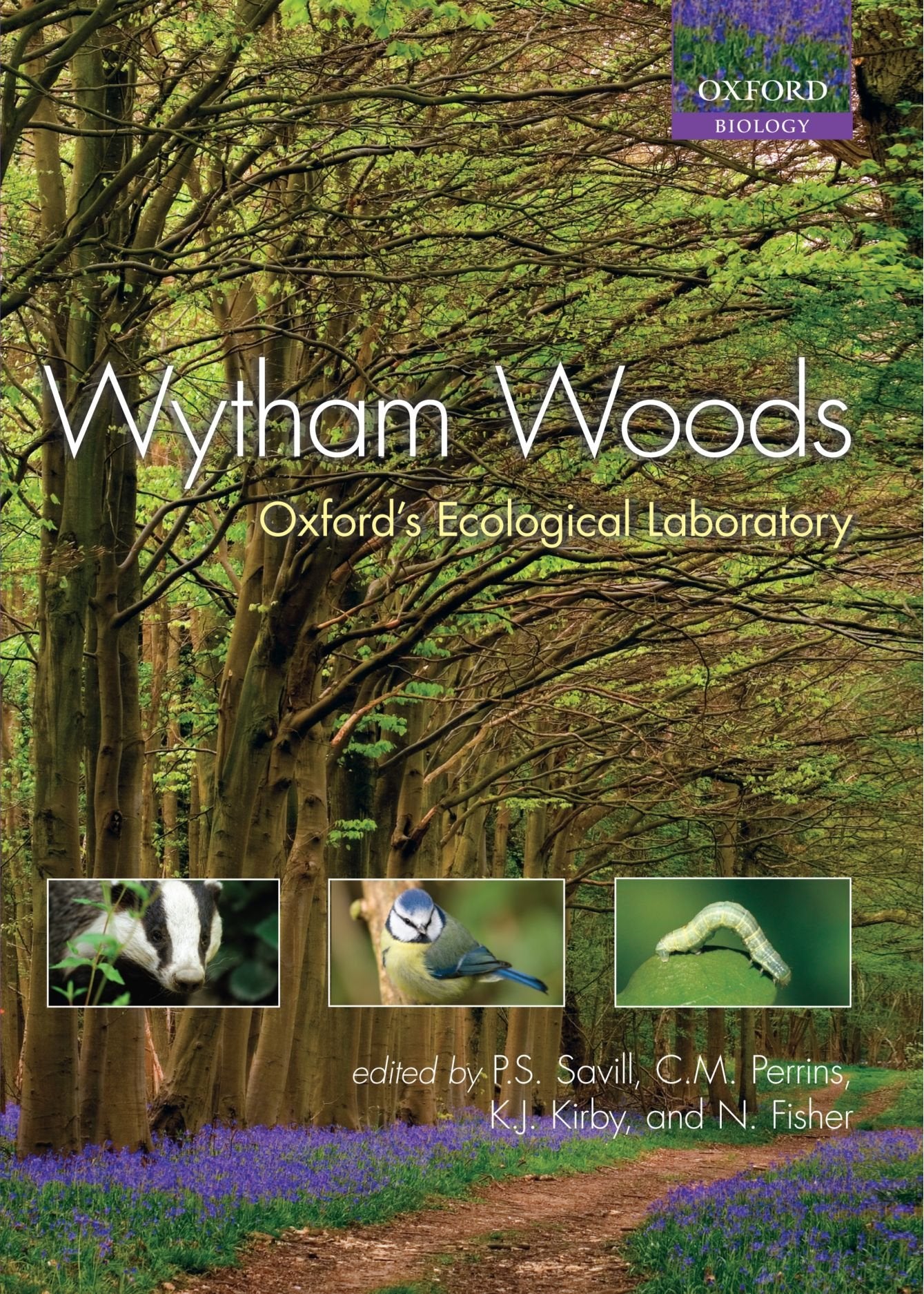 Wytham Woods: Oxford's Ecological Laboratory by Savill, Pete