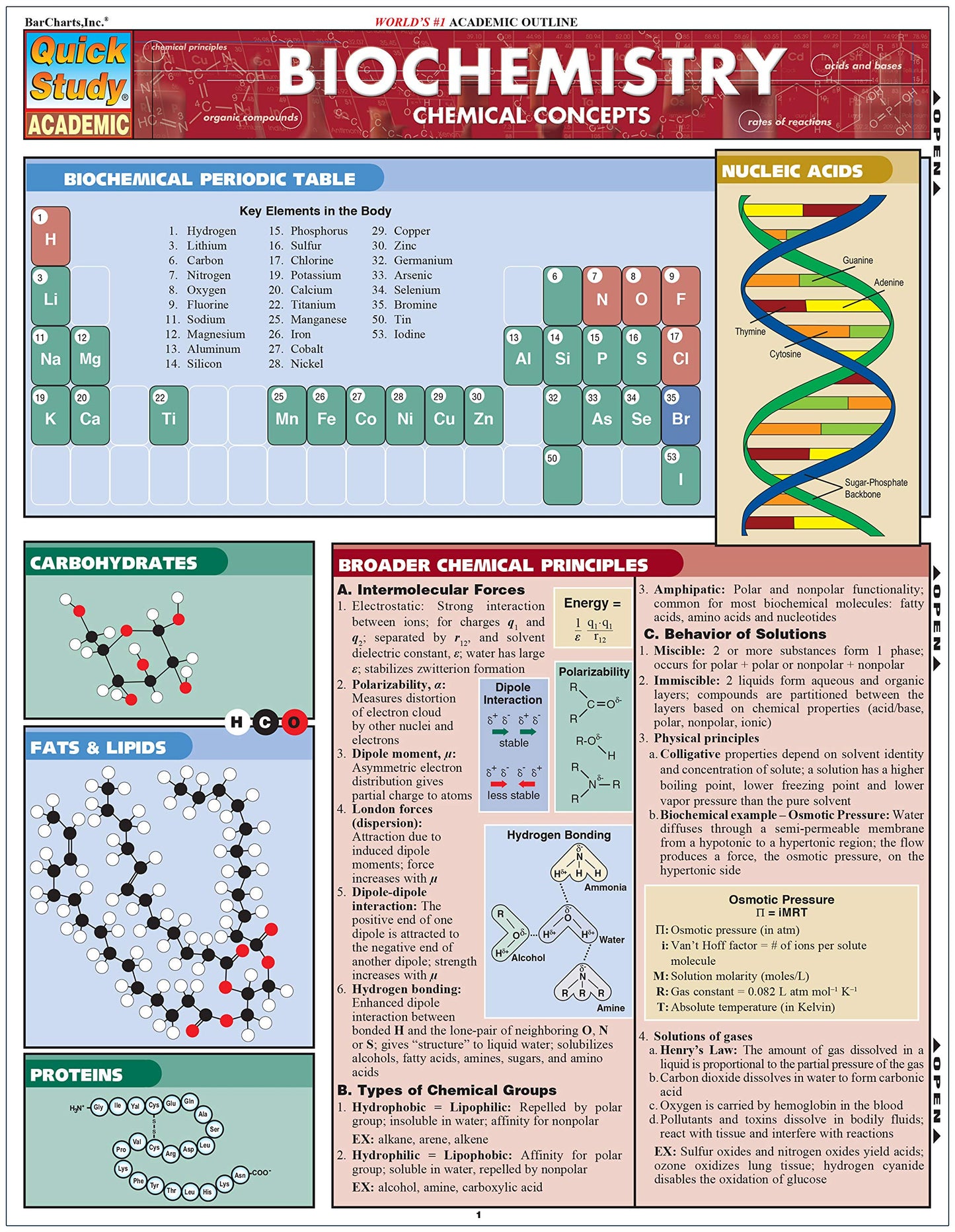 Biochemistry QuickStudy Laminated Reference Guide (QuickStudy Academic)