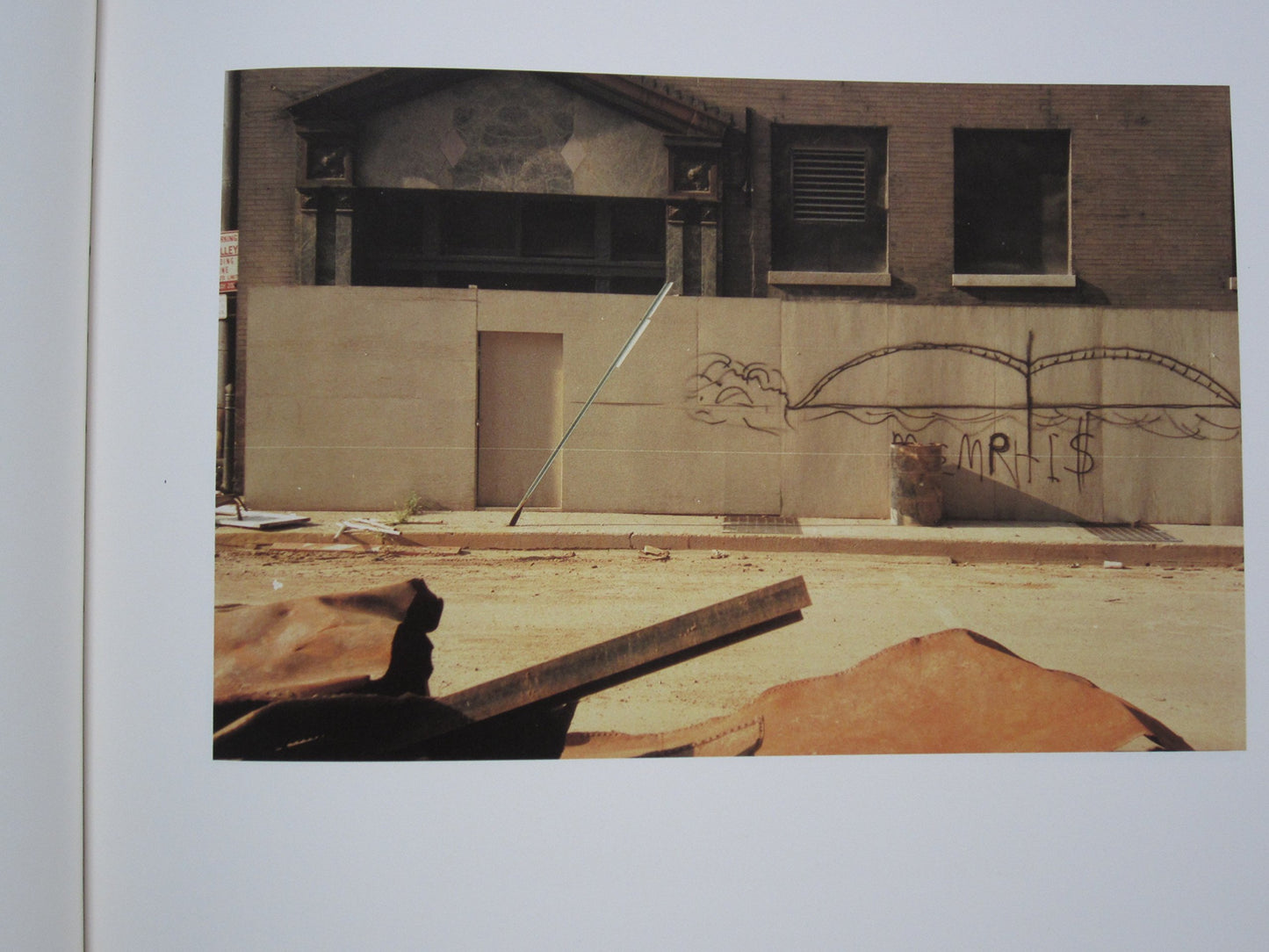 The Democratic Forest by William Eggleston