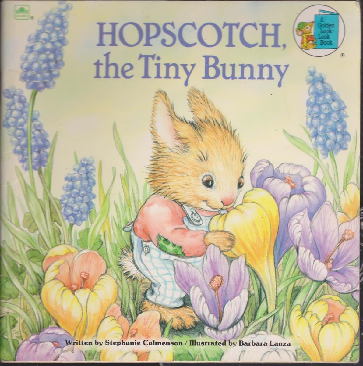 Hopscotch, the Tiny Bunny (Look Look Books)
