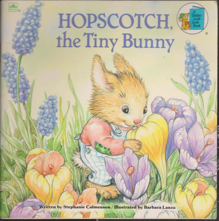 Hopscotch, the Tiny Bunny (Look Look Books)